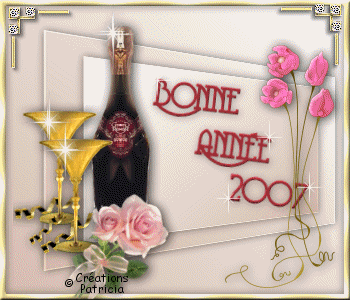 BONNE ANNE 2007!!!!! Bonnea11