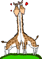 CHLOE (ex-Rosina) Girafe10