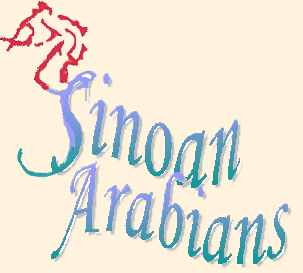 Elevage SINOAN  ARABIANS Logo11