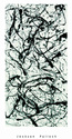 Jackson Pollock Pol27410